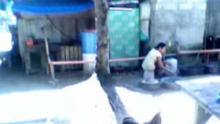 Capture 20091211 1