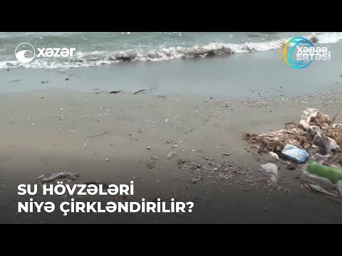 Video: Meşələrin qırılması su dövranına təsir edəcəkmi?