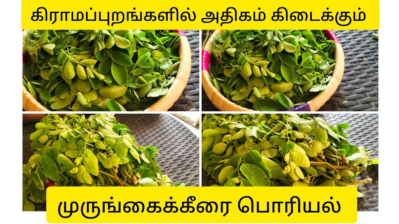 முருங்கைக் கீரை பொரியல் murungai keera Poriya recipe in Tamil / BABI Suki vlogs 