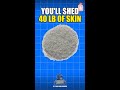 You'll shed 40 lb of skin. Most of it in your mattress. 🧴