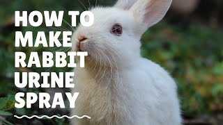 How to use rabbit urine spray on your plants