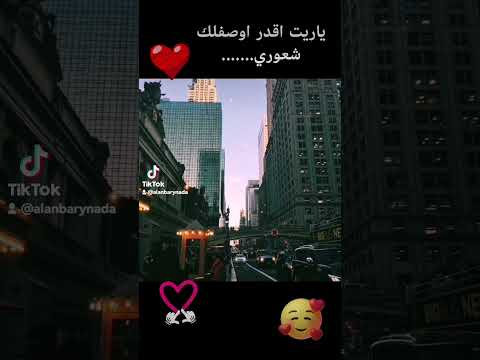 ياريت لو اقدر اوصفلك شعوري