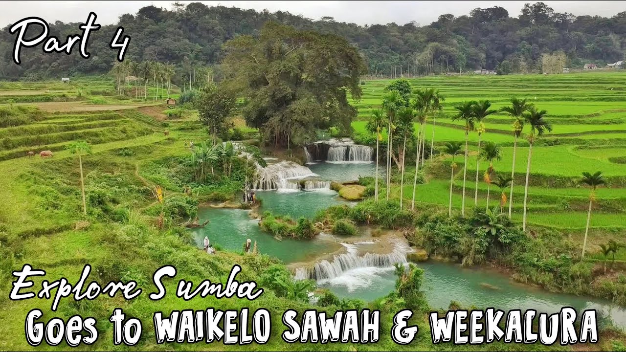 Explore Sumba Part 4 ~ Goes to WAIKELO SAWAH & WEEKACURA