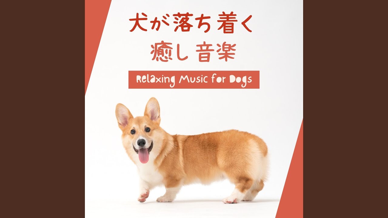 Regardez ペットマッサージ音楽 sur YouTube