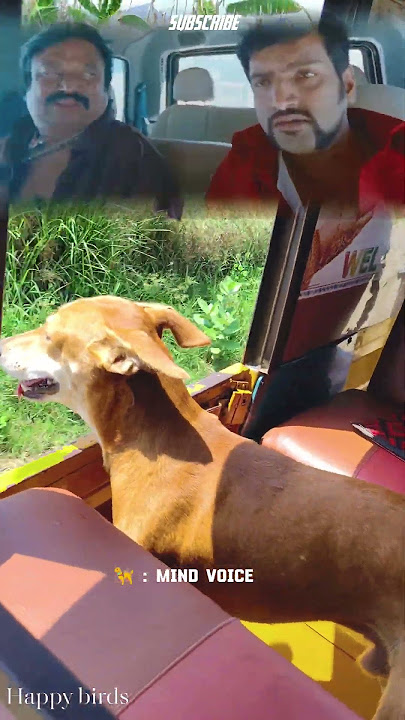 vathiyare 😂 thooki thooki poduthu pinnadi 🦮😂 #dog #funny #lifeisbutadream #15april #whowillbemylif