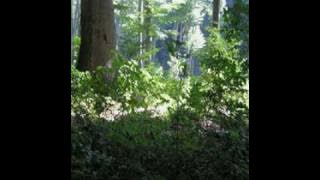 Koncz Zsuzsa - Rohan az ido.flv