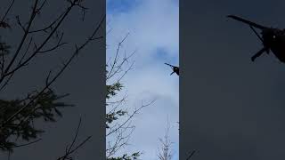 4 Blackhawk helicopters flying overhead out near Dallas Oregon.