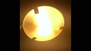 Dave Dont Snore reupload