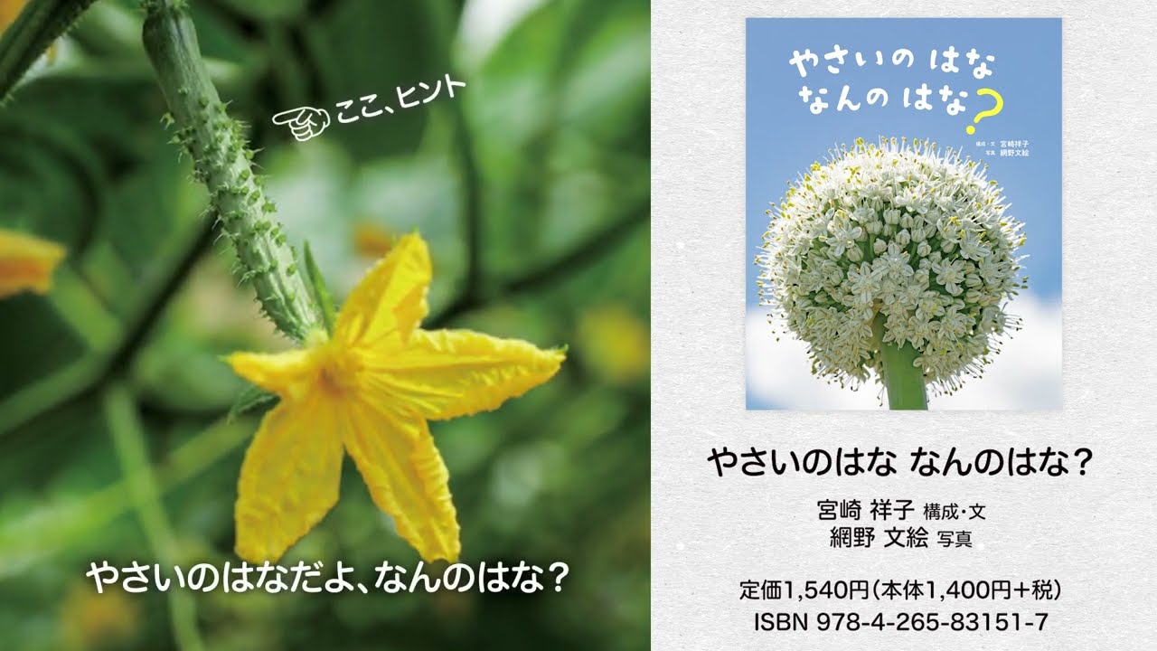 はなはなさま やさいのはな なんのはな？ - 株式会社岩崎書店 この1冊が未来をつくる