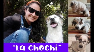 Las Aventuras De La Chochi