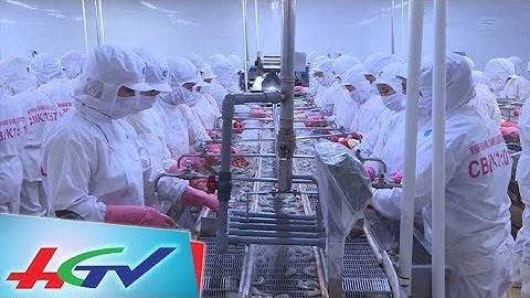 Hậu Giang xúc tiến đầu tư 2017 | 25/8/2017