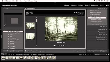 Lightroom 5: Share Images Online