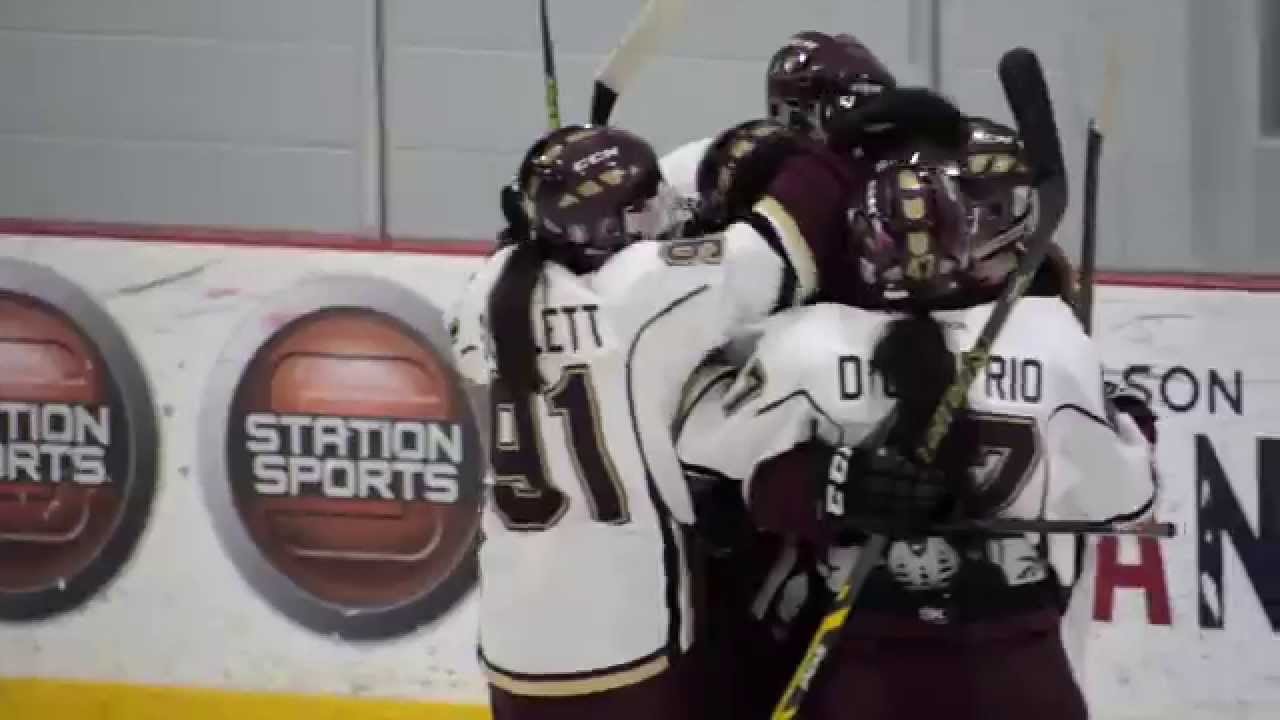 Concordia Stingers Women S Hockey Roster