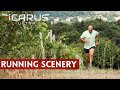 RUNNING SCENERY - Colli Euganei, Padova - ICARUS ULTRA