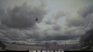 25th July 2024 timelapse, Irlam