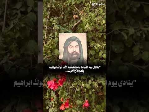 علي مني وأنا من علي لا يؤدي عني إلا أنا أو أنت شيعة علي