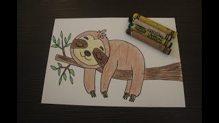 Learn About Sloth Before We Start Drawing | Easy Drawing | Sloth Drawing | Cute Sloth
