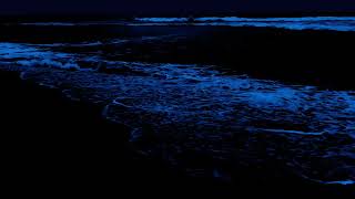 Highest Quality Floating Surround Ocean Sound, Sleep Deeply with Blue Night Ocean Waves by Ocean tranquilitee 807 views 3 days ago 10 hours, 1 minute