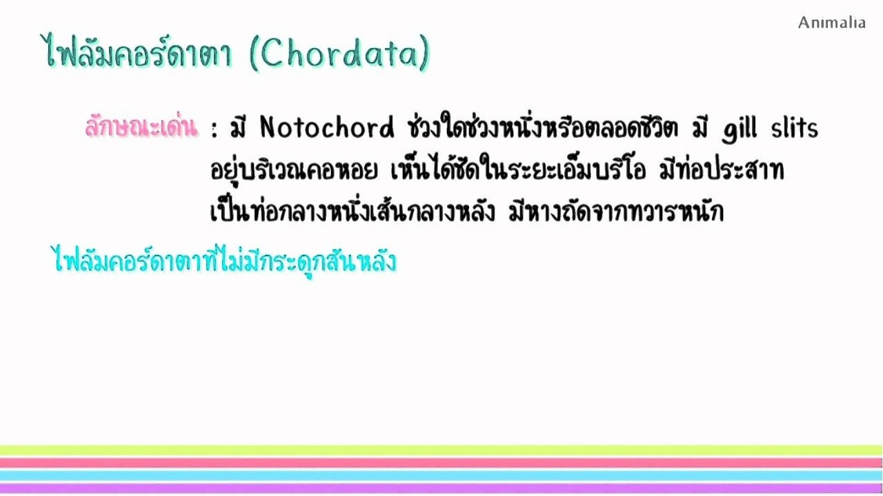 อาณาจักรสัตว์ (Kingdom Animalia)