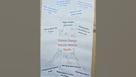 What is a Problem Tree? with Emily!