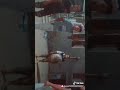 ورق بفره ورق بفره