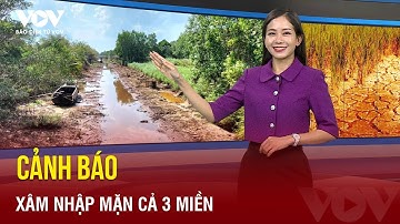 Nắng nóng gay gắt, cảnh báo nguy cơ xâm nhập mặn cả 3 miền | Báo Điện tử VOV