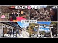 【#7】山梨観光day🌸梅の名所 不老園｜武田神社｜甲府駅｜甲州夢小路｜小江戸甲府花小路｜甲府城跡 [築古平屋 二拠点生活]