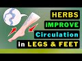 10 miracle herbs to supercharge your leg circulation now