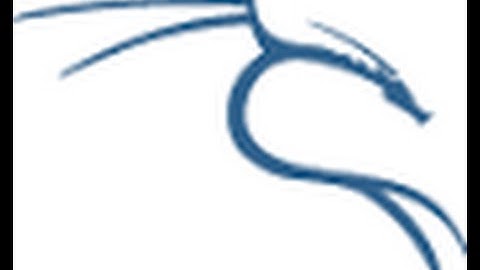 How to install Bittorrent client in Kali Rolling 2016.1(SAME FOR EVERY VERSION)