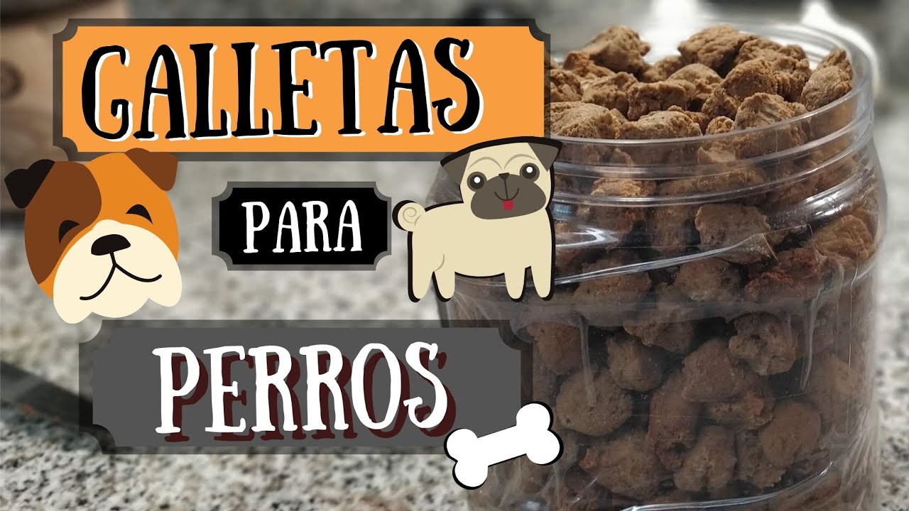 Galletas para perros caseras YouTube