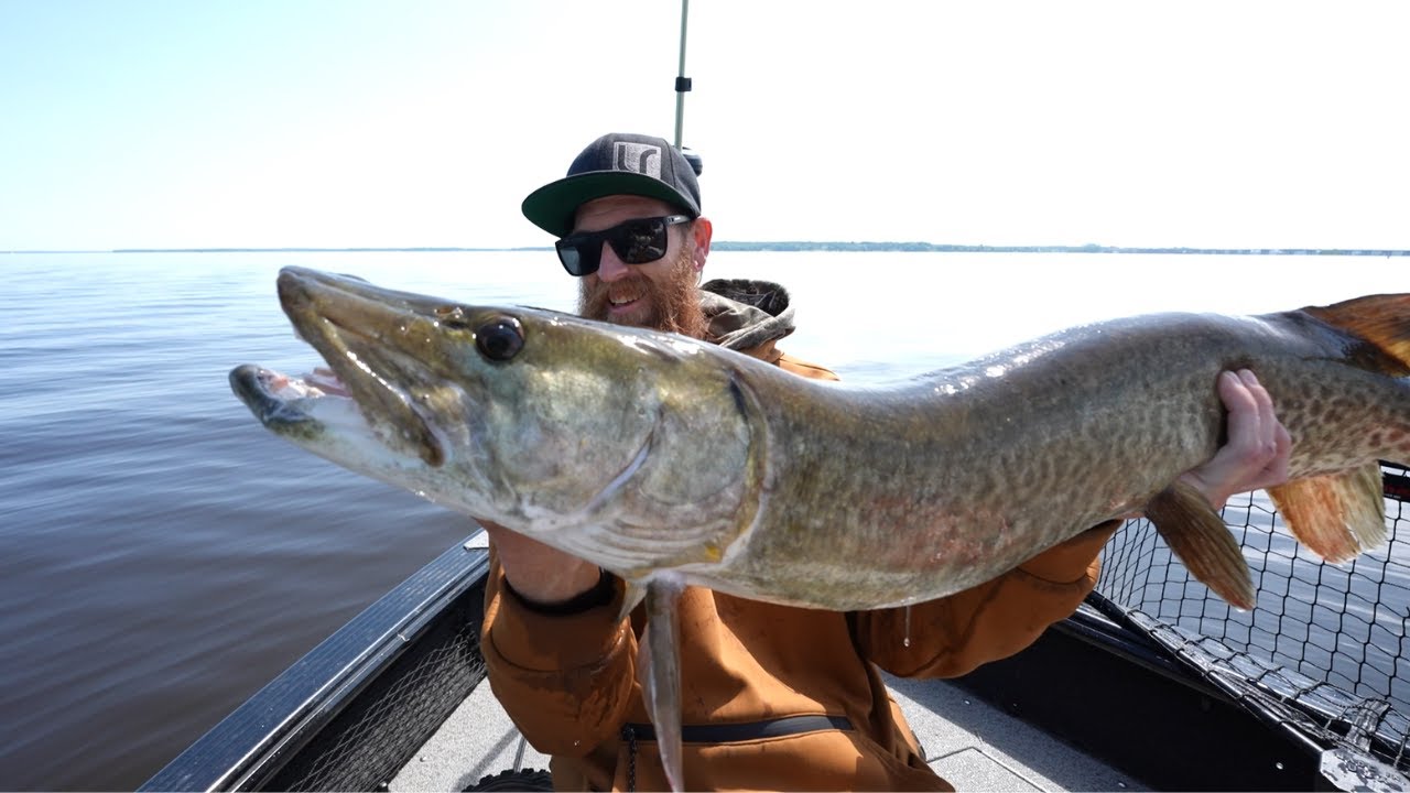 Canadian Musky Opener 2025 ( Early Season Success)