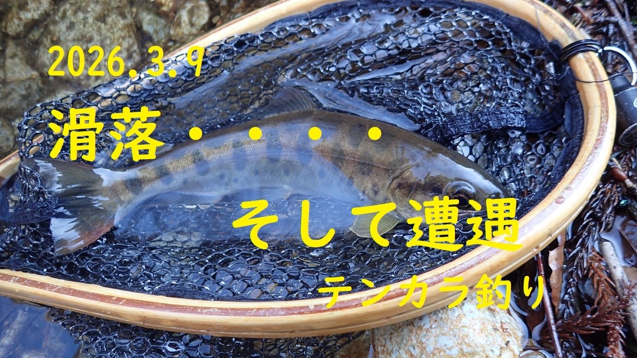 2026 3 9　滑落・・　そして遭遇