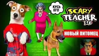 МИСС ТИ купила Собаку 🔴 Злая училка (Scary Teacher 3D) - новые Пранки