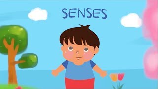 K12 Grade 2 - Science: Exploring Our Senses screenshot 5