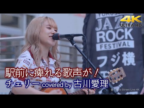 【 歌うま 】駅前に痺れる歌声が！  チェリー / スピッツ（ covered by 古川愛理 ）横須賀路上ライブ（横須賀ジャズロックフェスティバル）🎧推奨 高音質 4K映像