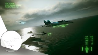 Ace Combat 7 Multiplayer Co-op with @ACECOMBOI