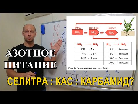 Стратегия применения азотных удобрений: аммиачная селитра, карбамид или КАС?