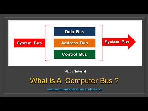 Video: Koľko typov autobusov je v počítačovom systéme?