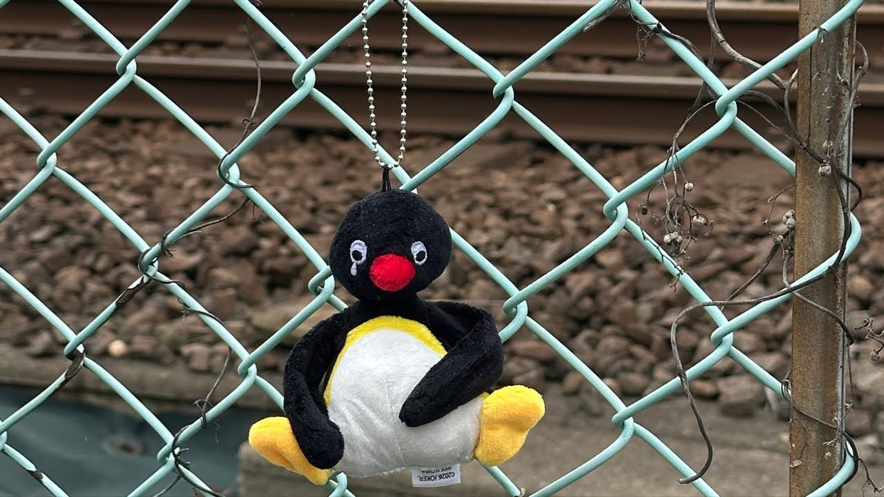 つるドラ! 横浜→幕張 東京ゲームショウへ