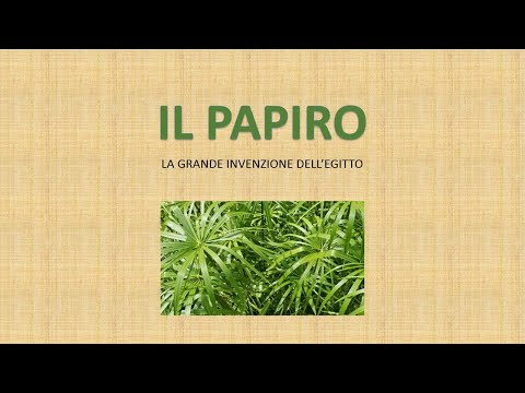 Video: Come è Fatto Il Papiro