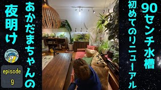 アクアリウム】初めての90センチ水槽リニューアル（あかだまちゃんの