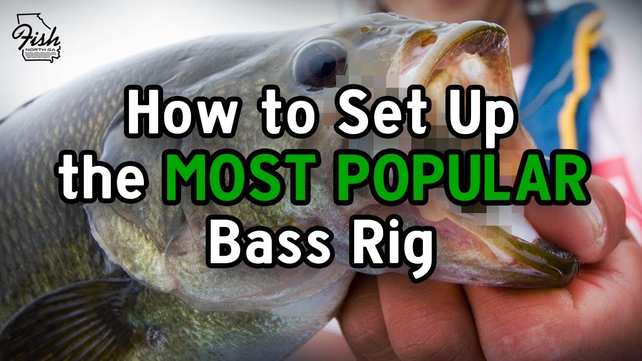 How To Set up A Texas Rig 