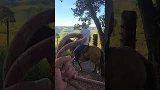 SÍTIO PANORÂMICO ALTO DA COLINA 17,7 HECTARES PRÓXIMO AO SANTUÁRIO R$ 4,4 MILHÕES - Código: 2625