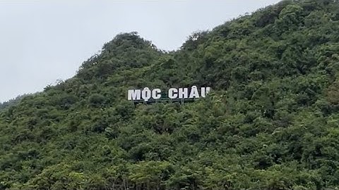 # 32 Du lịch Mộc Châu vẻ đẹp vườn hồng vườn cam và đồi chè trái tim