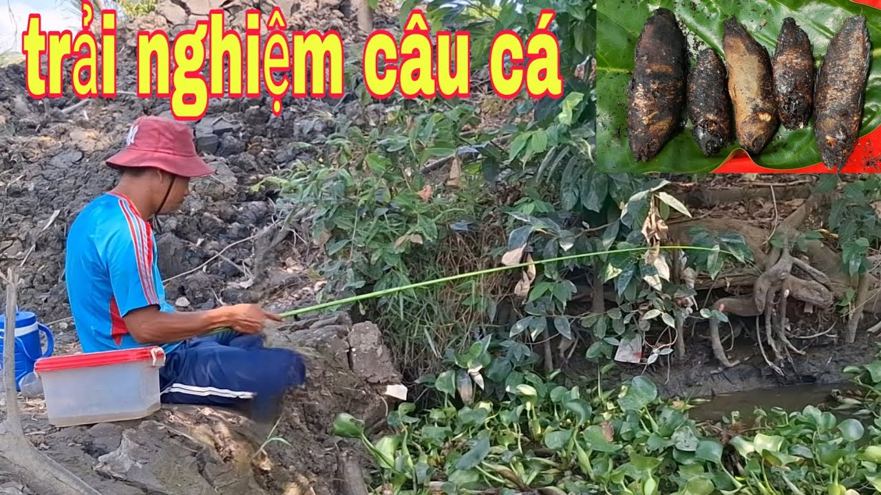 125 trải nghiệm câu cá rô,và thưởng thức món rô đồng nướng trui - YouTube