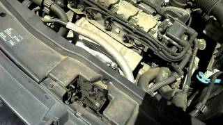 GOLF DD 1512 + Taramps 2000