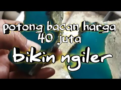 WA.081288981112 menjual berbagai macam batu akik,bacan, kalimaya,black Opal, hijau Garut, pancawarna. 