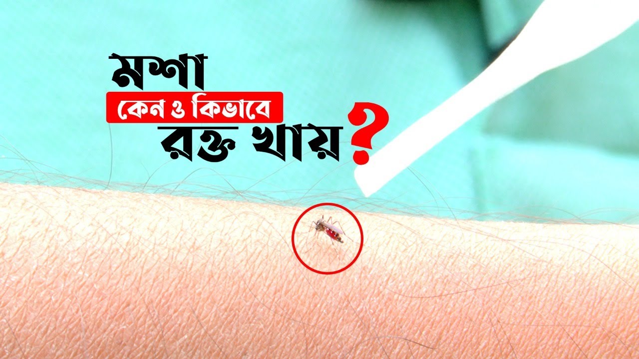 Rus qizlar seks talabalar