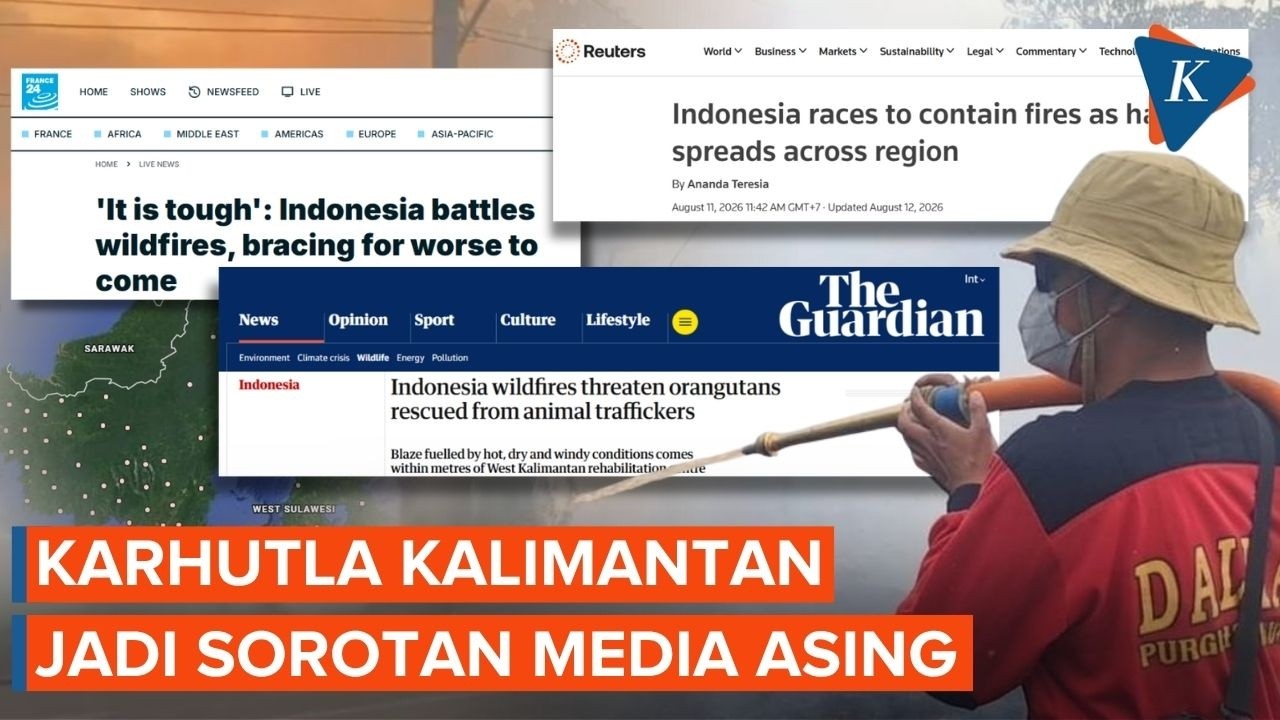 Media Internasional Sorot Kebakaran Hutan Kalimantan, Singgung Orangutan dan Asap Sampai Malaysia