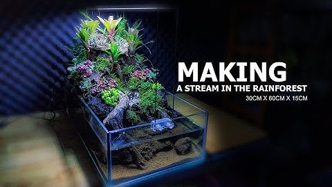 ASMR Making Forest Stream | Hướng dẫn setup tiểu cảnh bán cạn suối rừng nhiệt đới